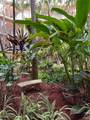 8400 133rd Ave Rd - Photo 24