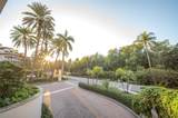 19211 Fisher Island Dr - Photo 16