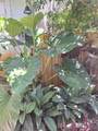 1121 1st Ave - Photo 21