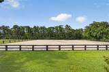 12725 Mallard Creek Dr - Photo 66