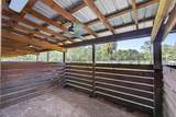12725 Mallard Creek Dr - Photo 80