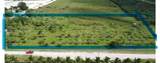 18690 360th St - Photo 3