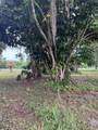 19121 Conners Hwy - Photo 7