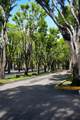 14311 Kendall Dr - Photo 19