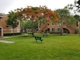 7980 Nob Hill Rd - Photo 5