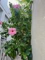 928 Euclid Ave - Photo 22
