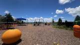 19472 Whispering Creek Rd - Photo 43