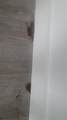 2150 26th St - Photo 24