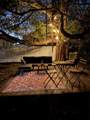 1155 111th St - Photo 18