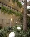 250 Collins Ave - Photo 29