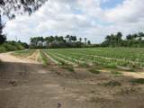 19922 304th Street - Photo 4