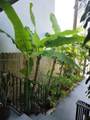 364 11th St - Photo 56