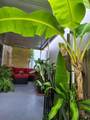 364 11th St - Photo 58