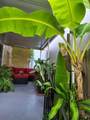 364 11th St - Photo 59