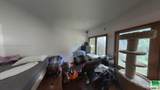 35 Hinshaw St - Photo 17