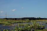 13648 Sw 177 Ave - Photo 21