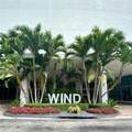 350 Miami Ave - Photo 49