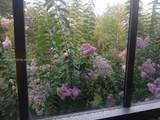2828 Segovia St - Photo 23