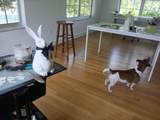 2828 Segovia St - Photo 26