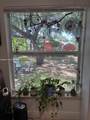 170 49th St - Photo 4