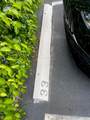 14500 88th Ave - Photo 4