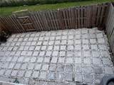 13802 276th St - Photo 13