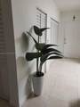 5099 7th St - Photo 4