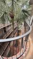 8520 133rd Ave Rd - Photo 19