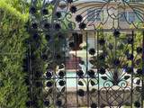 42 Almeria Ave - Photo 1