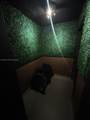 7367 36th St - Photo 14