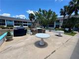 4213 Palm Tree Blvd - Photo 15
