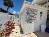 4213 Palm Tree Blvd - Photo 17