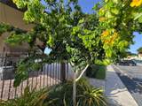 6585 Somerset Dr - Photo 28