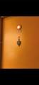 9340 Flagler St - Photo 4