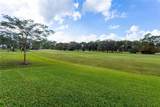 4030 Palm Aire Dr - Photo 15