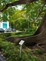 1871 S River Dr - Photo 4