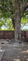6201 116th Pl - Photo 42