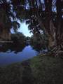 15138 Harrison Rd - Photo 10