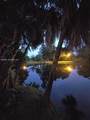 15138 Harrison Rd - Photo 8