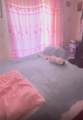 2429 Lena Ln - Photo 4