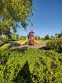 5081 Gambero Way - Photo 33