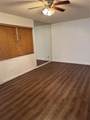 10762 La Placida Dr - Photo 3