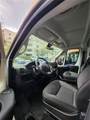  Mobile Pet Grooming - Photo 5