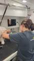  Mobile Pet Grooming - Photo 7