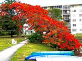 3030 Marcos Dr - Photo 47