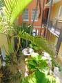4812 Pine Tree Dr - Photo 19