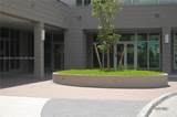 7825 107th Ave - Photo 6