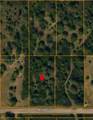 20477 262nd St - Photo 2