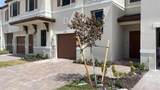 10007 231 Ln - Photo 2