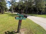 19556 Black Falcon Rd - Photo 5
